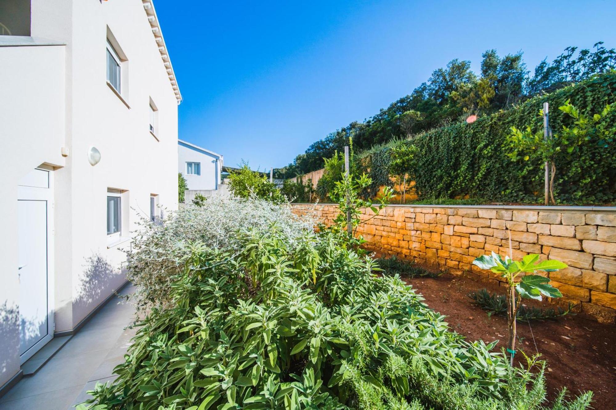 Villa Teuta Korčula Eksteriør billede